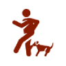 Dog & Animal Bites